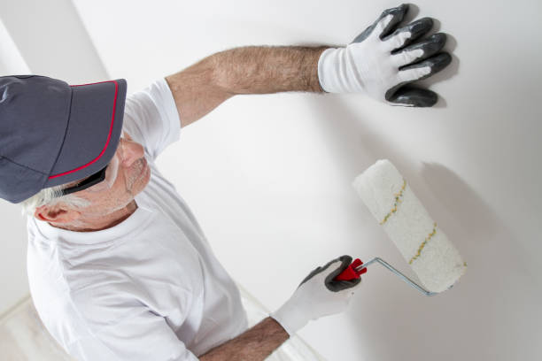 Best Environmental Consulting for Mold Prevention  in Hillsborough, CA