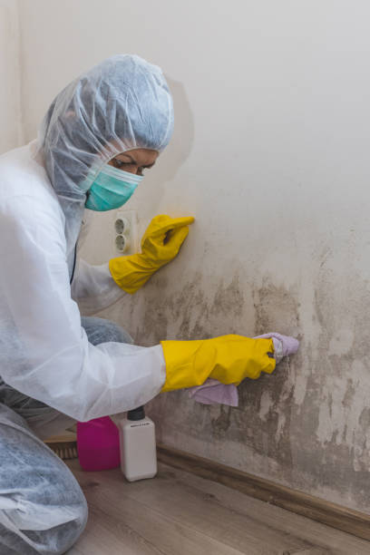 Best Forensic Mold Investigation  in Hillsborough, CA