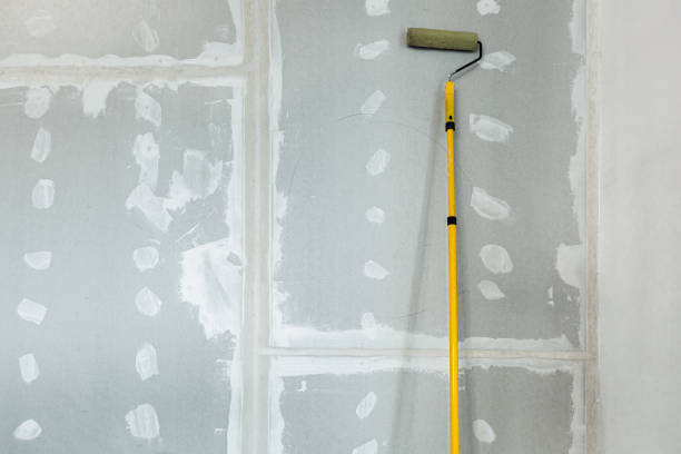 Best Emergency Mold Remediation  in Hillsborough, CA