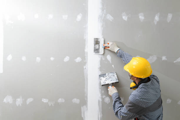 Best Comprehensive Air Testing for Mold Contaminants  in Hillsborough, CA