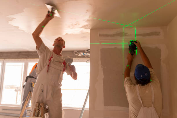 Best Mold Remediation for Vacation Homes  in Hillsborough, CA